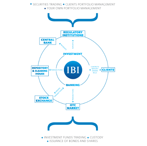 IBI Master