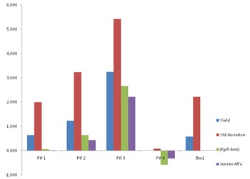 Portfolio Management